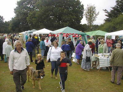 PIC19